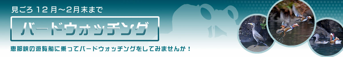 バードウォッチング