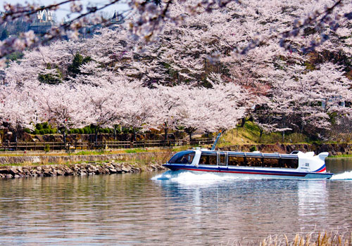 春の景観